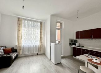 Квартира на продажу студия, 24.8 м2, Мурино, Ручьёвский проспект, 15, ЖК Айди Мурино