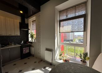 Продам 2-ком. квартиру, 50.5 м2, Санкт-Петербург, Петергофское шоссе, 78к10, ЖК Константиновское