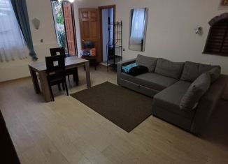 Сдача в аренду 1-комнатной квартиры, 50 м2, Сочи, Олимпийская улица, 25, микрорайон Заречный