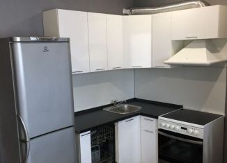 Сдаю в аренду однокомнатную квартиру, 40 м2, Котельники, Сосновая улица, 2к4, ЖК Белые Росы