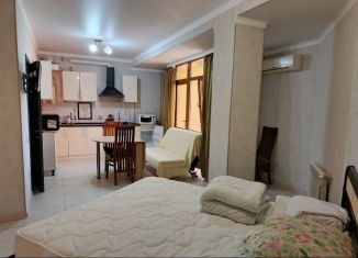 Квартира в аренду студия, 34 м2, Сочи, Кирпичная улица, 6/1, микрорайон Голубые Дали