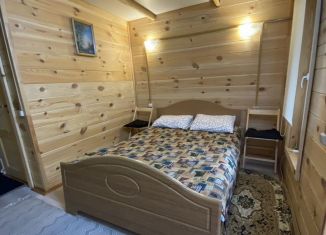 Аренда дома, 18 м2, село Камлак