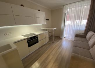 Продажа квартиры студии, 20.5 м2, Мурино, улица Шувалова, 13/10, ЖК Краски Лета