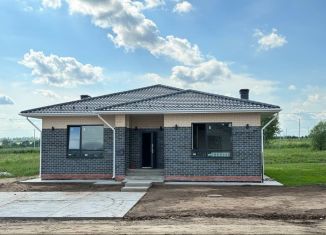 Продаю дом, 150 м2, деревня Чернышевка, улица Изобилия