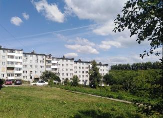 Продаю 1-комнатную квартиру, 29.8 м2, Новомосковск, Трудовой проезд, 8А