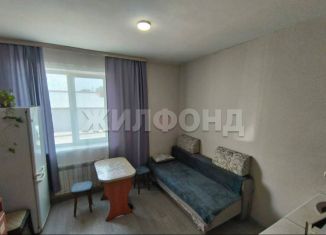 Продаю однокомнатную квартиру, 19.9 м2, Новосибирск, улица Солидарности, 13, метро Заельцовская
