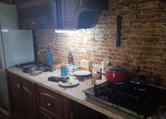 Аренда дома, 130 м2, село Орёл-Изумруд, Банановая улица, 41А