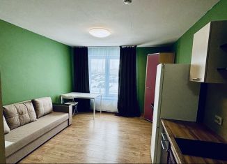 Квартира на продажу студия, 23.8 м2, Тюмень, Ставропольская улица, 160, ЖК Тесла Парк