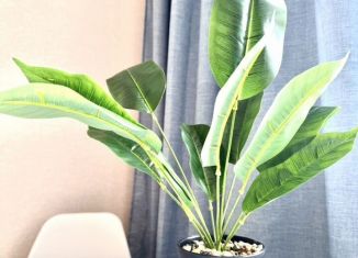 Продаю 1-ком. квартиру, 33.5 м2, Сертолово, ЖК Новое Сертолово, улица Мира, 7к2