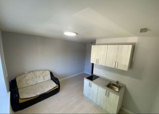 Продажа квартиры студии, 15 м2, Республика Башкортостан, улица Лесотехникума, 98