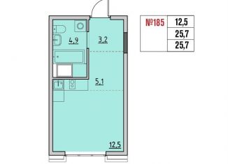 Продам квартиру студию, 25.7 м2, рабочий поселок Маркова, квартал Стрижи, 3