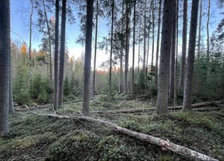 Продажа земельного участка, 15 сот., Питкяранта