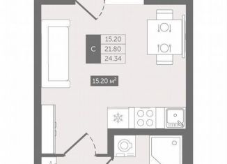 Продажа квартиры студии, 24.3 м2, деревня Новое Девяткино