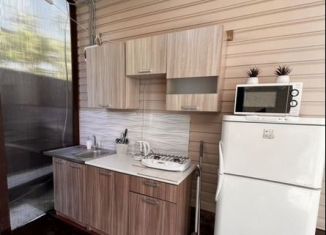 Сдается дом, 25 м2, Сириус, Камышовая улица, 4