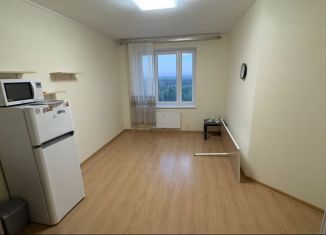 Сдам квартиру студию, 25.4 м2, деревня Новое Девяткино, Капральская улица, 15