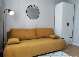 Однокомнатная квартира на продажу, 16.9 м2, Воронеж, улица Челюскинцев, 84