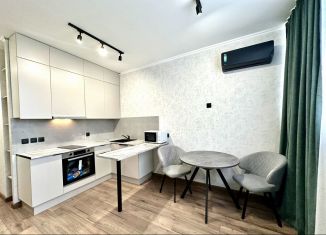 Продается квартира студия, 24 м2, Краснодар, улица Западный Обход, 39/2, ЖК Самолёт