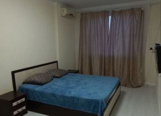 Сдам в аренду однокомнатную квартиру, 42 м2, Ростов-на-Дону, Доломановский переулок, 124с2, ЖК Центральный