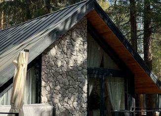 Сдаю в аренду дом, 49 м2, деревня Красный Огорок