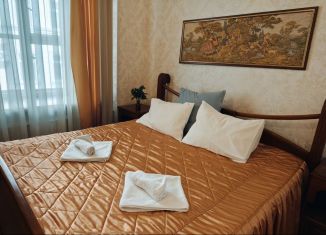 Сдается комната, 20 м2, Санкт-Петербург, Пушкинская улица, 10, Центральный район