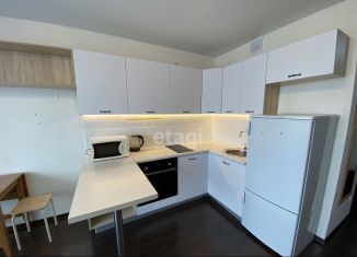 Квартира в аренду студия, 25 м2, Тюмень, улица Тимофея Чаркова, 28, ЖК Новый Мыс 3.0