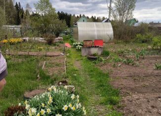 Продажа земельного участка, 6.2 сот., Пермский край