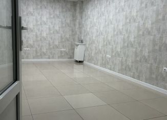 Продажа помещения свободного назначения, 22 м2, Майкоп, улица Чкалова, 65