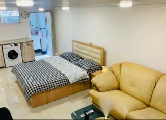 Продажа квартиры студии, 21 м2, Сочи, Православная улица, 35/5А, микрорайон Энергетик-Изумруд