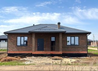 Продаю дом, 135 м2, деревня Чернышевка, улица Дружбы