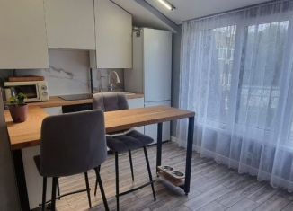 Продажа квартиры студии, 24 м2, село Раздольное, Тепличная улица, 94А