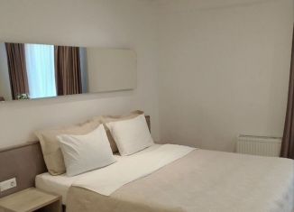 Комната в аренду, 35 м2, Санкт-Петербург, Социалистическая улица, Центральный район