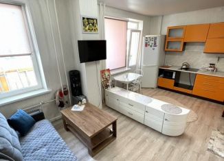 Продается квартира студия, 28.5 м2, Барнаул, Балтийская улица, 93, ЖК Матрёшки