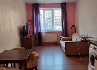 Квартира в аренду студия, 20 м2, деревня Пирогово, улица Ильинского, 7