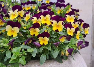 Продается участок, 5 сот., Уфа, Кировский район