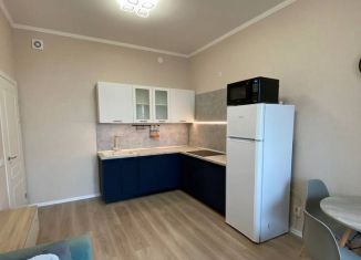Сдается 1-ком. квартира, 37.6 м2, посёлок Шушары, улица Нины Петровой, 8к2