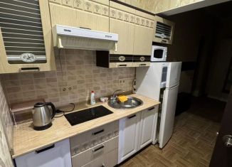 Аренда 1-комнатной квартиры, 50 м2, Сочи, Фермерский переулок, 10Б, микрорайон Энергетик-Изумруд