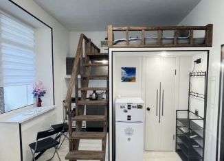 Квартира на продажу студия, 18 м2, Санкт-Петербург, метро Елизаровская, улица Седова, 80