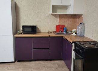 Сдаю в аренду квартиру студию, 30 м2, Сыктывкар, улица Панева, 5