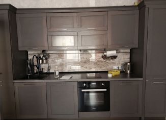 Сдача в аренду однокомнатной квартиры, 44 м2, Санкт-Петербург, 5-я Советская улица, 16