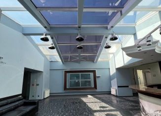 Продам помещение свободного назначения, 214 м2, Санкт-Петербург, Невский проспект, 87/2, муниципальный округ Лиговка-Ямская