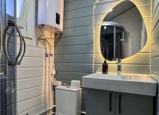 Сдаю коттедж, 40 м2, Крым, улица Кирова, 33