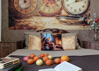 Сдача в аренду 2-комнатной квартиры, 45 м2, поселок городского типа Шерегеш, улица Гагарина, 8