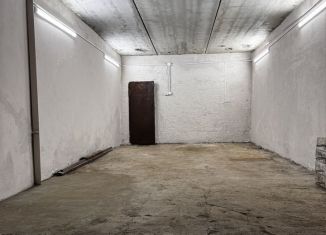 Сдаю в аренду гараж, 30 м2, Пензенская область, Ладожская улица, 99А