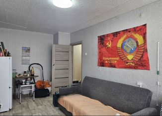 Продажа 1-комнатной квартиры, 29.6 м2, Боровичи, улица Алексея Кузнецова, 4