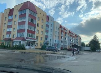 Однокомнатная квартира на продажу, 39 м2, село Новый Быт, Новая улица, 43