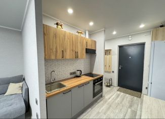 Сдача в аренду квартиры студии, 25 м2, Ростов-на-Дону, улица Ерёменко, 114/1с1, ЖК Пятый Элемент