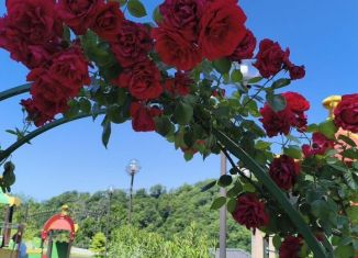 Сдается квартира студия, 24 м2, Сочи, Ясногорская улица, 16/6к1, микрорайон Бытха