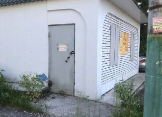 Помещение свободного назначения в аренду, 16 м2, Благовещенск, улица Калинина, 130А