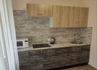 Аренда 1-комнатной квартиры, 33 м2, Люберцы, улица Дружбы, 1к2, ЖК Люберцы 2017