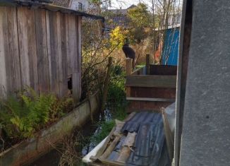 Продается дача, 25 м2, Санкт-Петербург, Центральная улица, 6